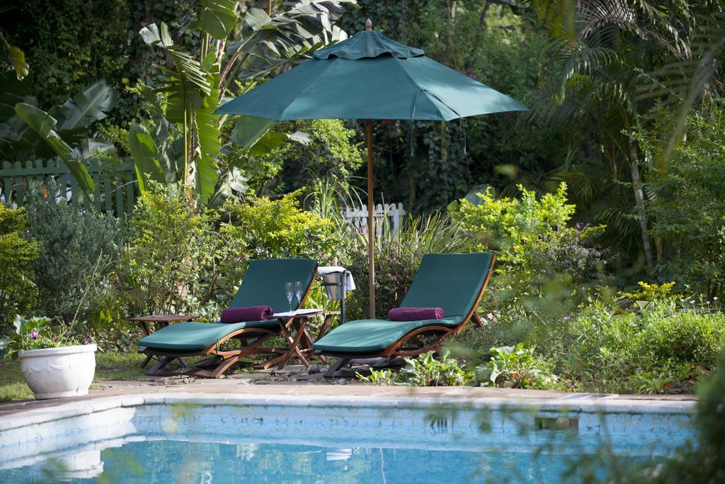Hacklewood Hill Country House Port Elizabeth Kültér fotó